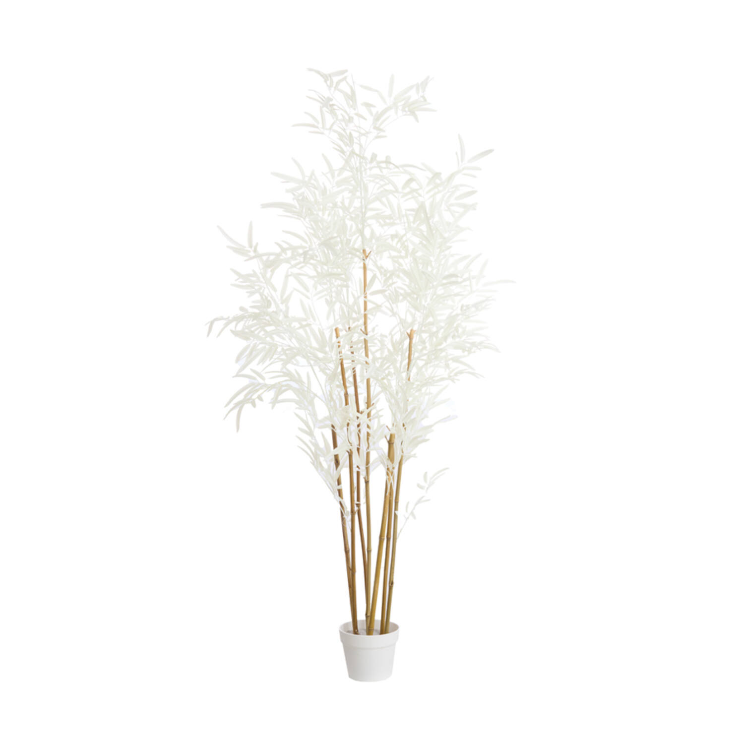 Ornament Bamboo - Naturel+crème Light & Living Beeld 7490783