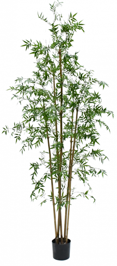 Plantbamboegroen - 245cm Silk-ka kunstbloemen en planten Kunstplant Silk-ka-150523