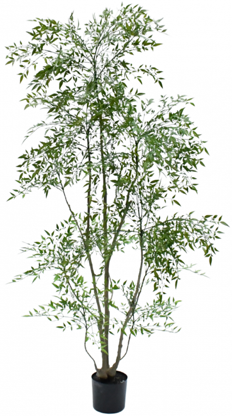 Ruscusgroen - 180cm Silk-ka kunstbloemen en planten Kunstplant Silk-ka-150703