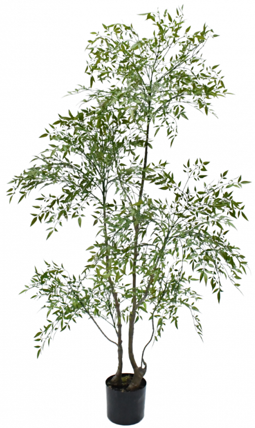 Ruscusgroen - 210cm Silk-ka kunstbloemen en planten Kunstplant Silk-ka-150702