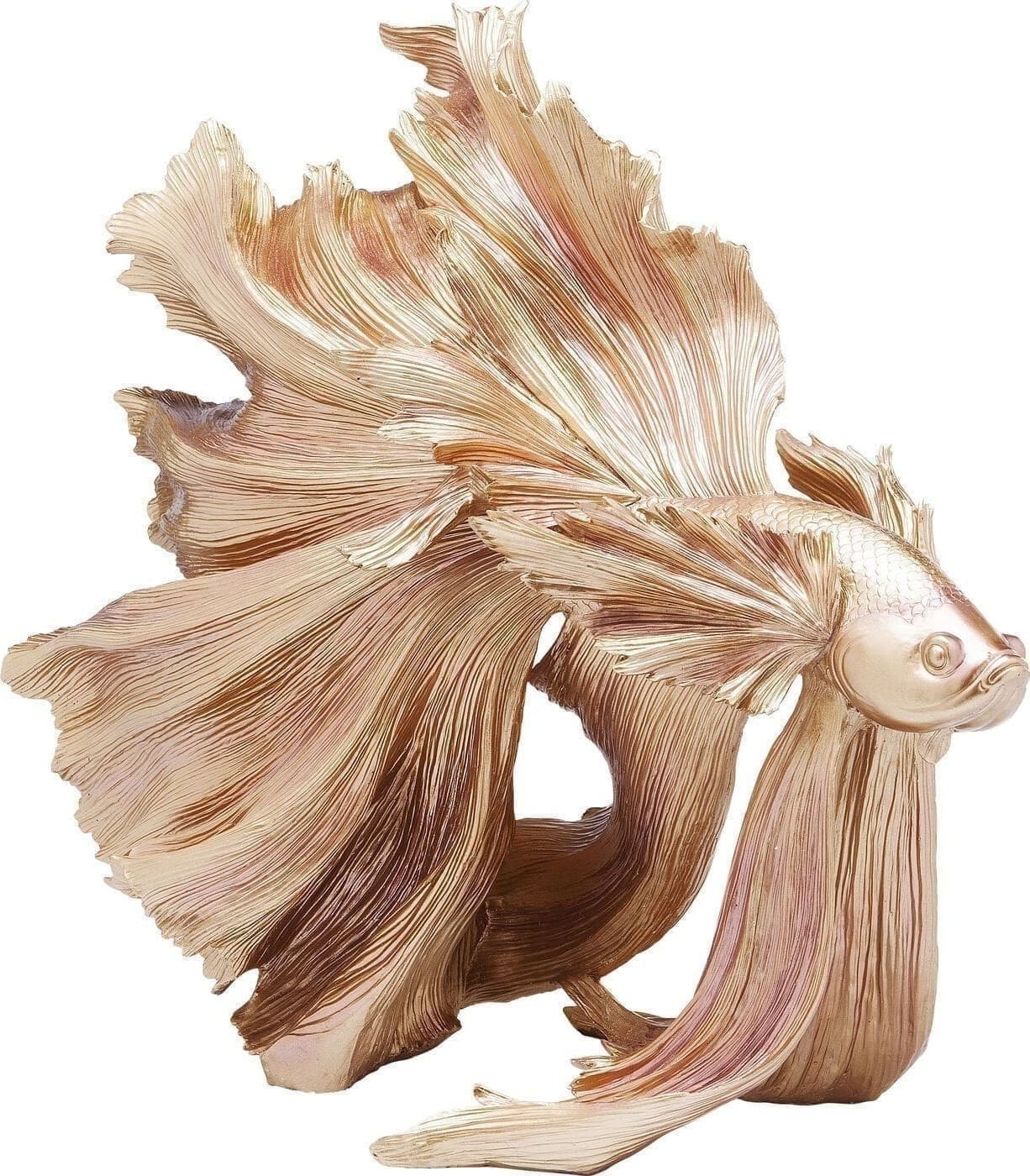 Beeld Betta Fish Gold Kare Design Beeld 61913