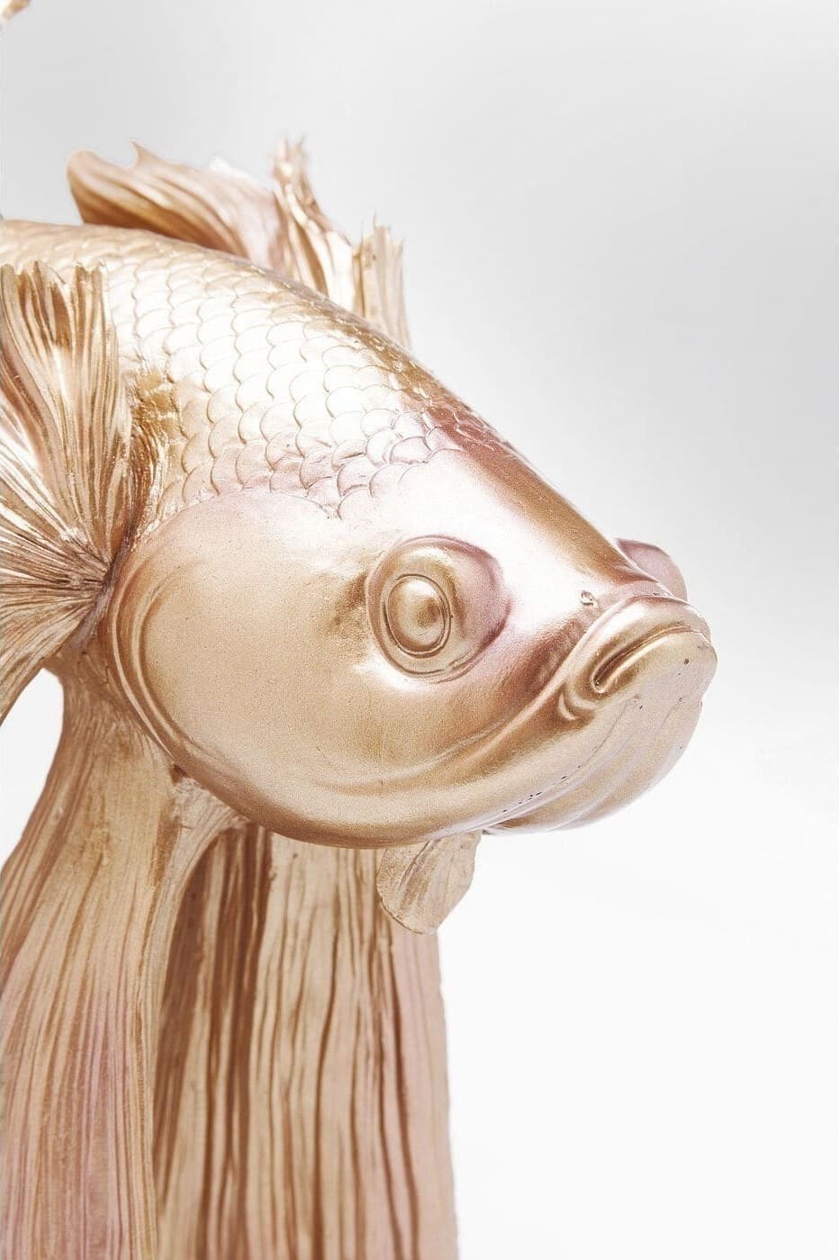 Beeld Betta Fish Gold Kare Design Beeld 61913