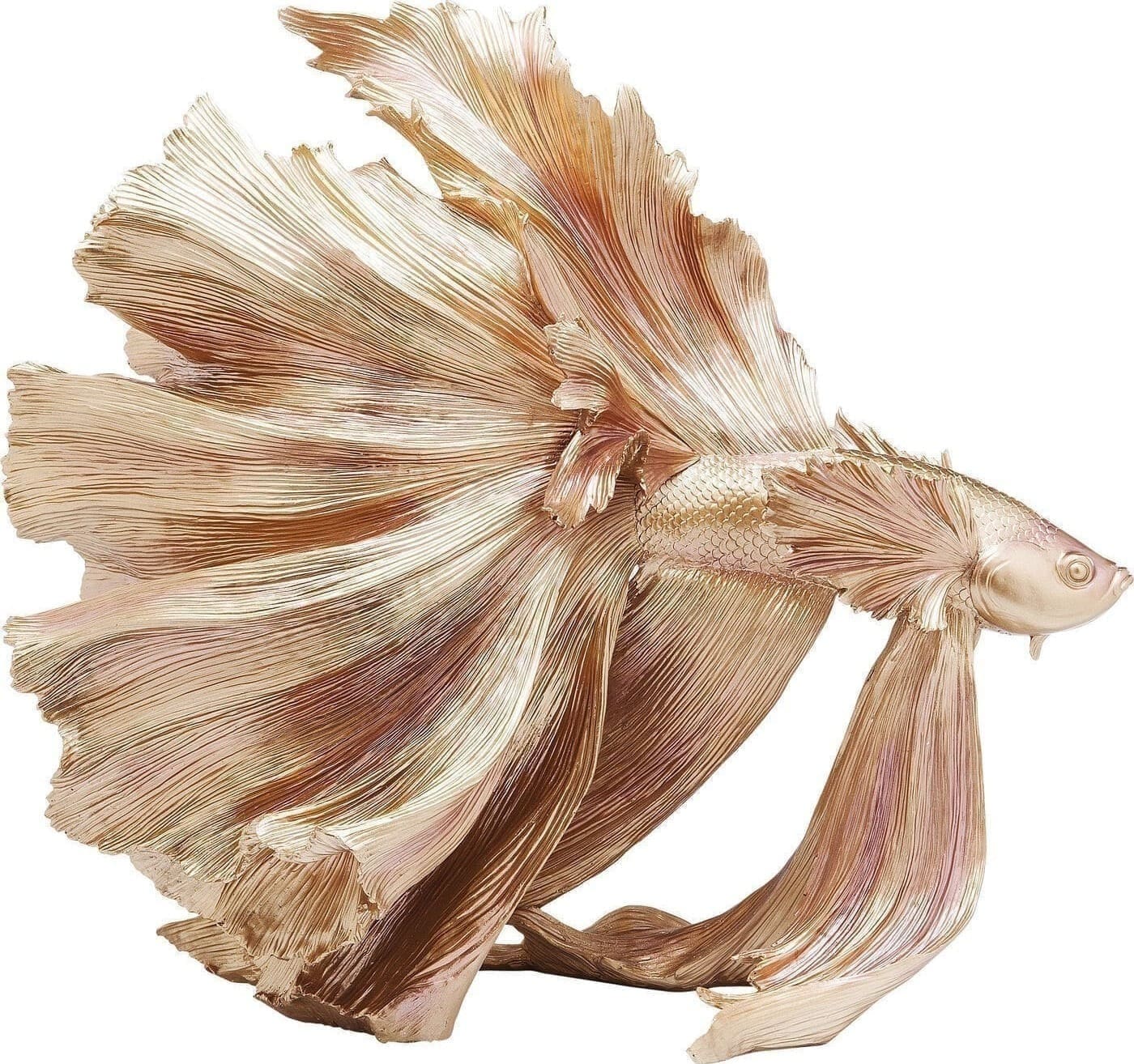 Beeld Betta Fish Gold Kare Design Beeld 61913