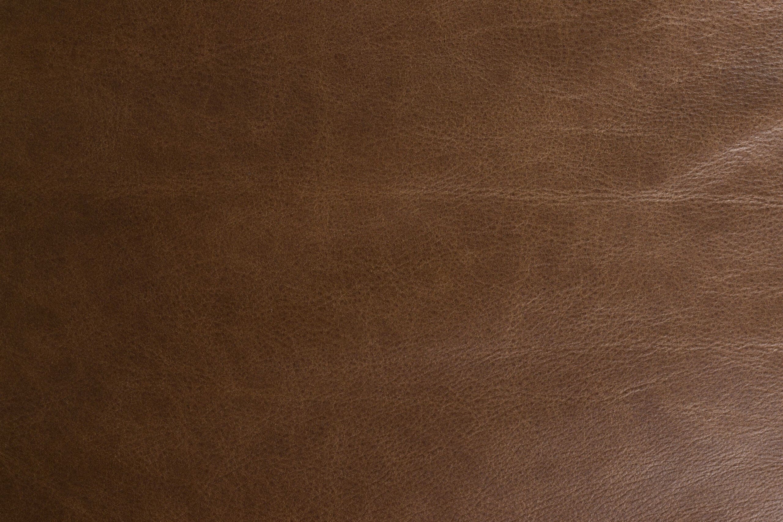 Bank Douglas Wax Leather Chocolate - Afbeelding 9
