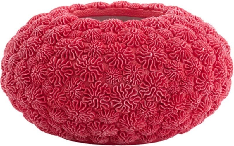 Vaas Coral - Rood