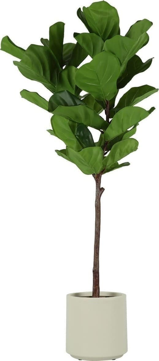 Ficus lyrata kunstplant