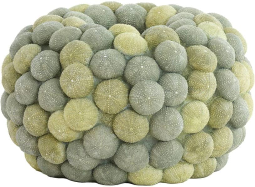 Vaas Sea - URCHIN Groen+donker Groen
