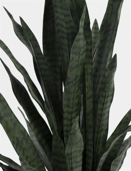 Sansevieria kunstplant H115cm - Afbeelding 2