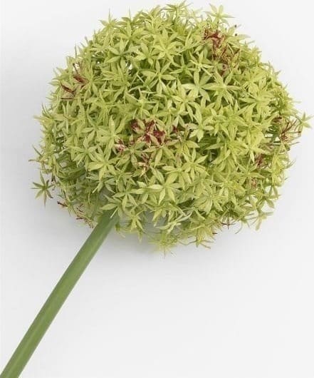 Allium spray kunstbloem H90cm - Afbeelding 2