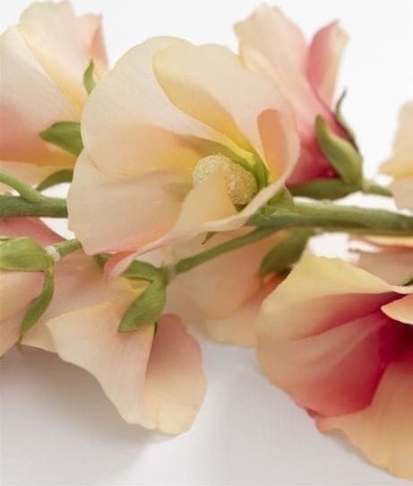 Alcea spray kunstbloem H105cm - Afbeelding 2