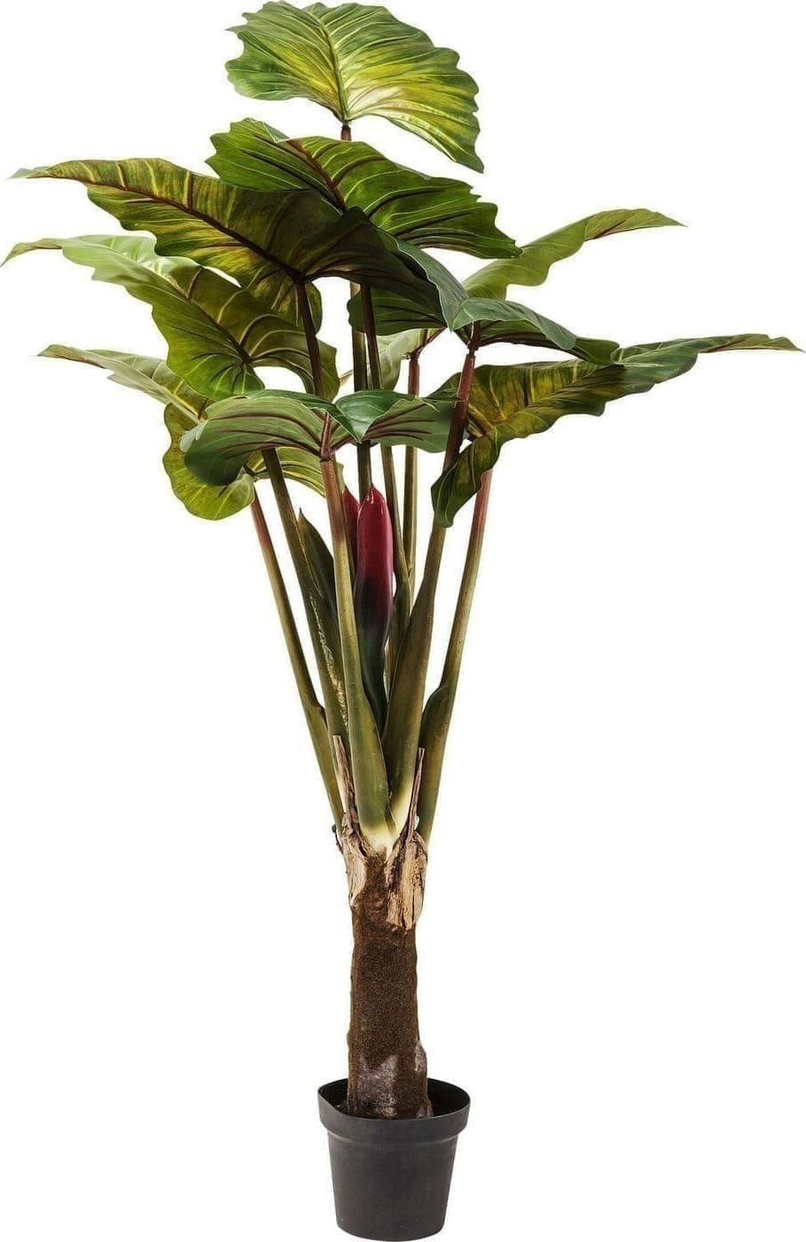 60720