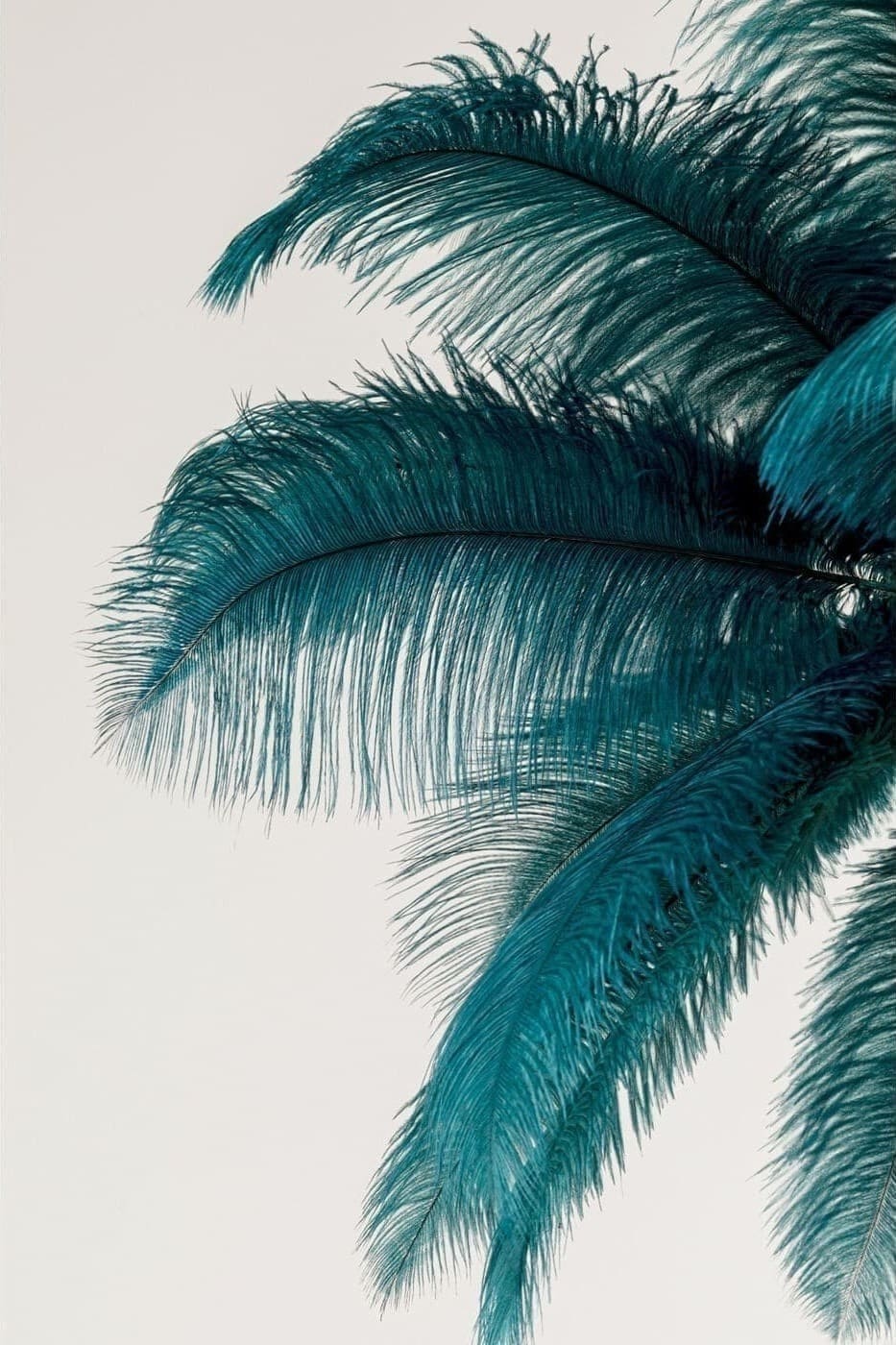 Hanglamp Feather Palm Green Ø87cm Kare Design Hanglamp 57502