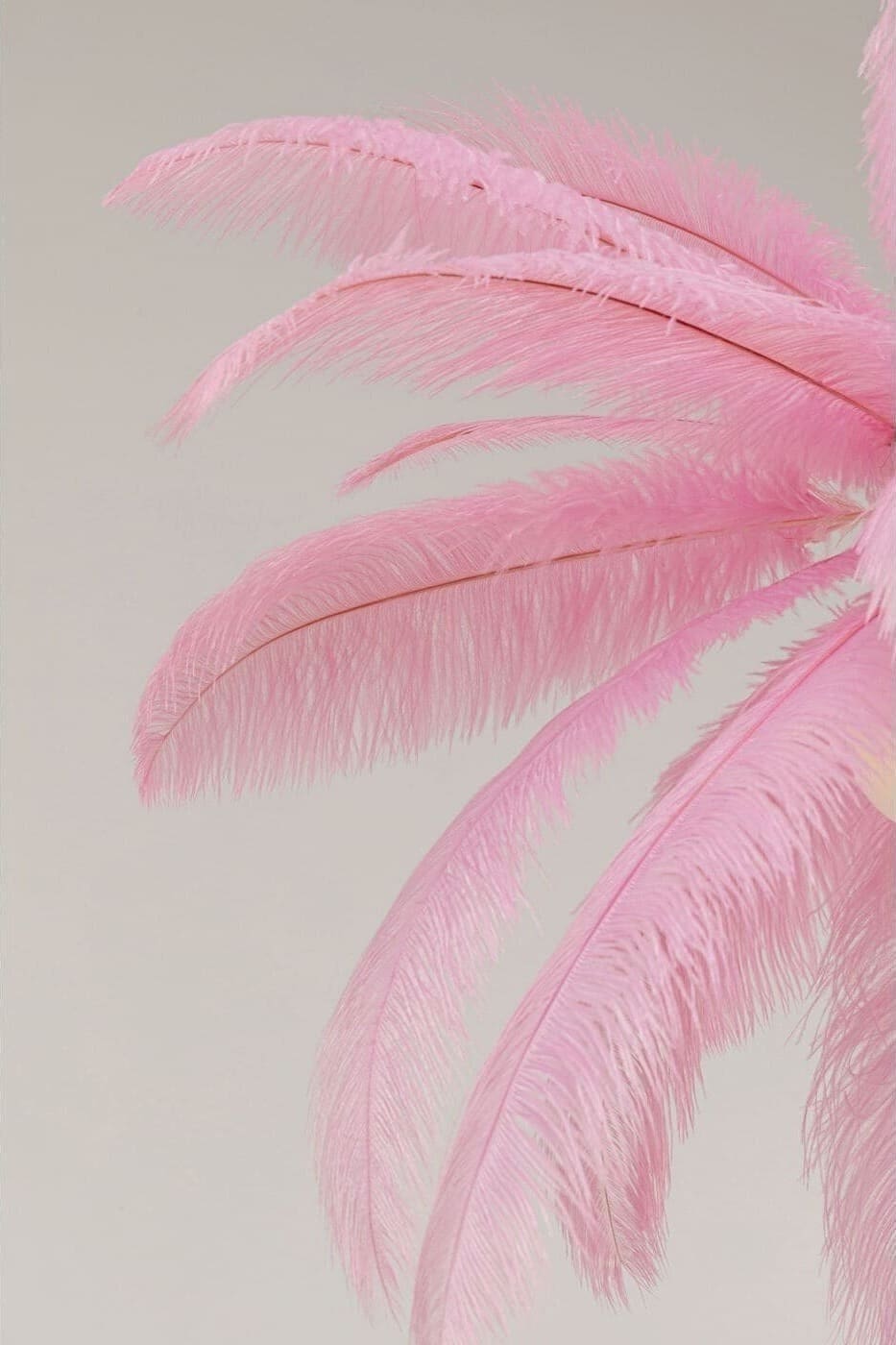 Hanglamp Feather Palm Pink Ø87cm Kare Design Hanglamp 57356