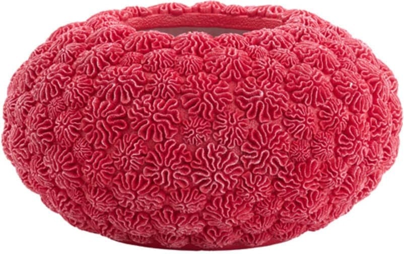 Vaas Coral - Rood Light & Living Vaas 5741517