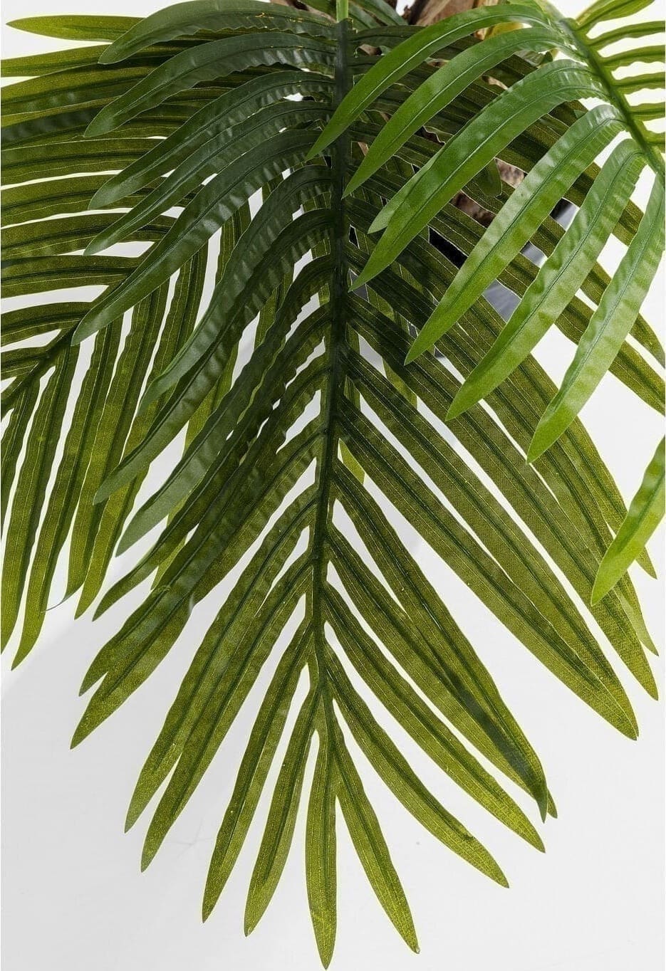 Kunstplant Palm Tree 190cm Kare Design Kunstplant 51789