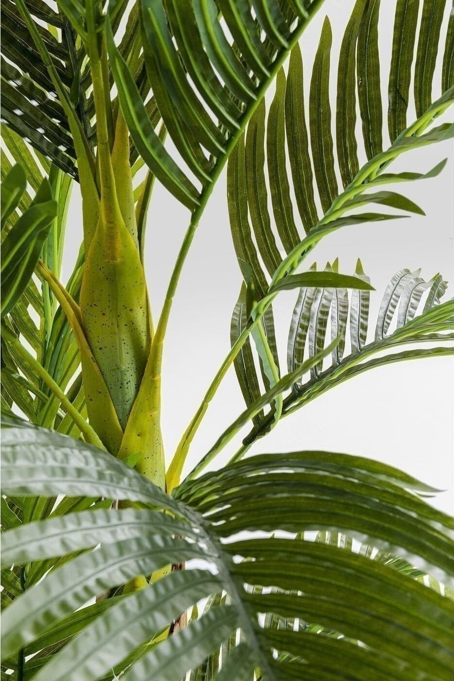 Kunstplant Palm Tree 190cm Kare Design Kunstplant 51789