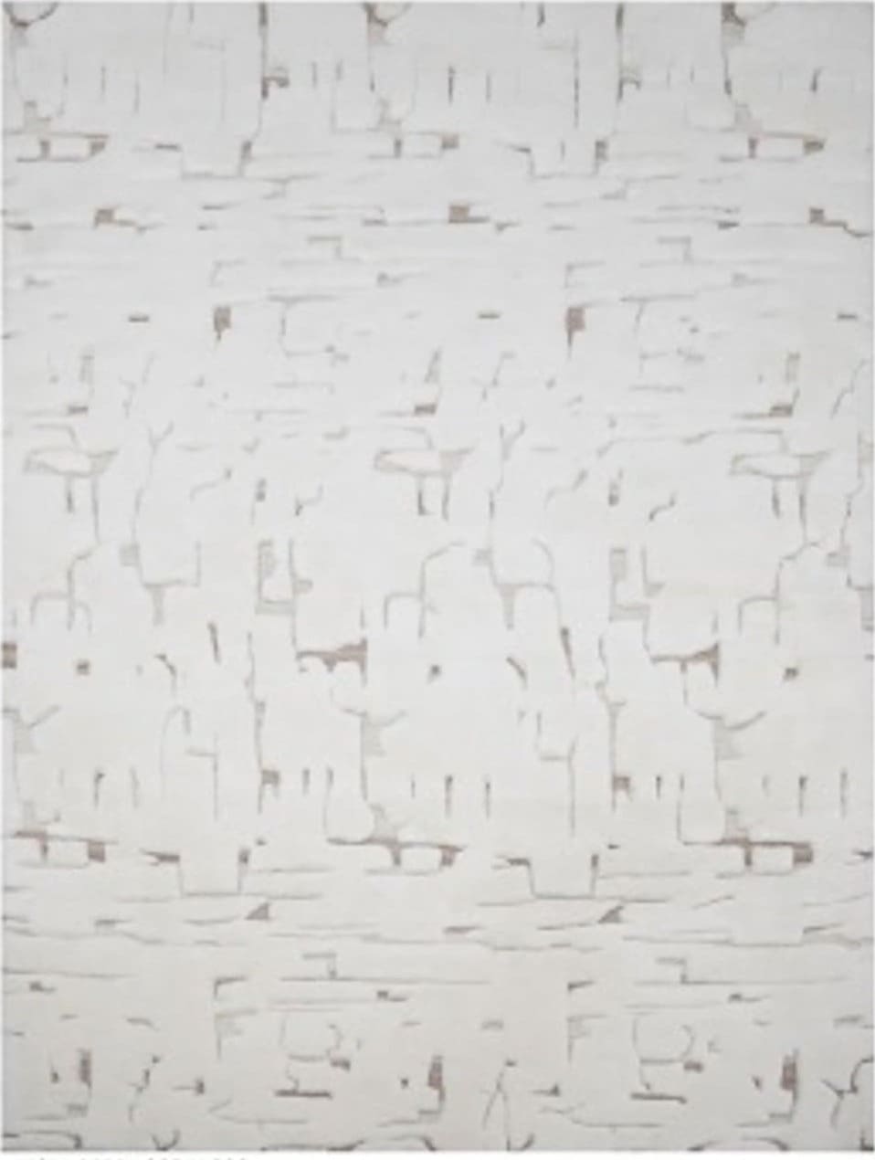 Richmond Interiors Tapijt Mehran white 200x300 Wit