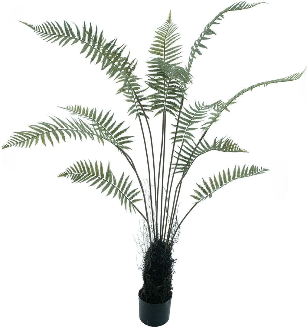INHOUSE Plant Varen groen Groen Woonaccessoire