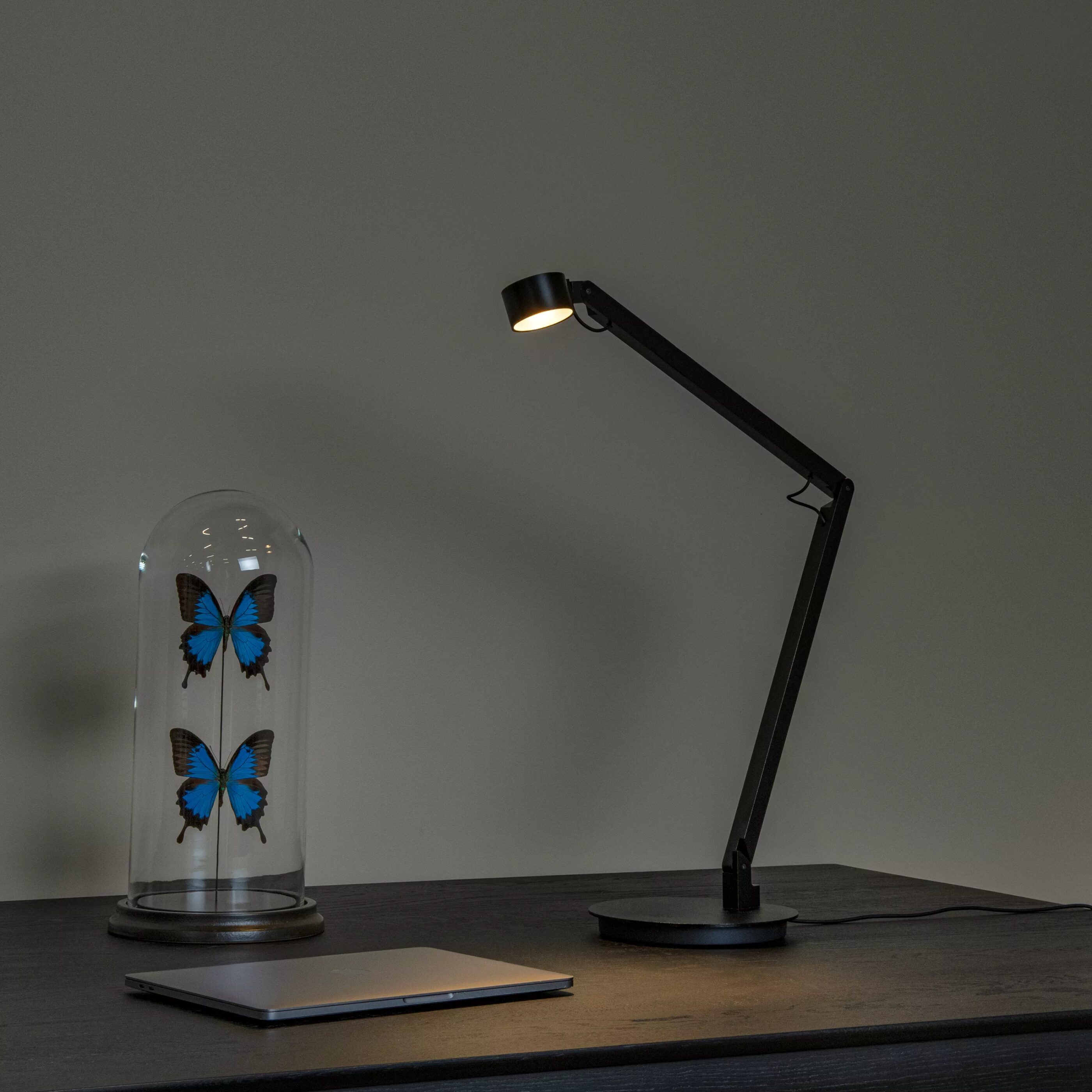 Ogden Bureaulamp Led 3 Stepdim - Zwart Lucide Bureaulamp 56505/06/30