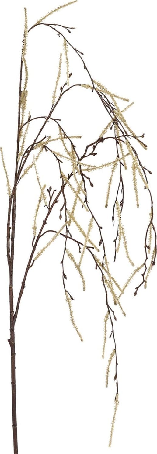 Profijt Meubel Kunsttak Duartina Beige|Wit Woonaccessoire|Woningdecoratie