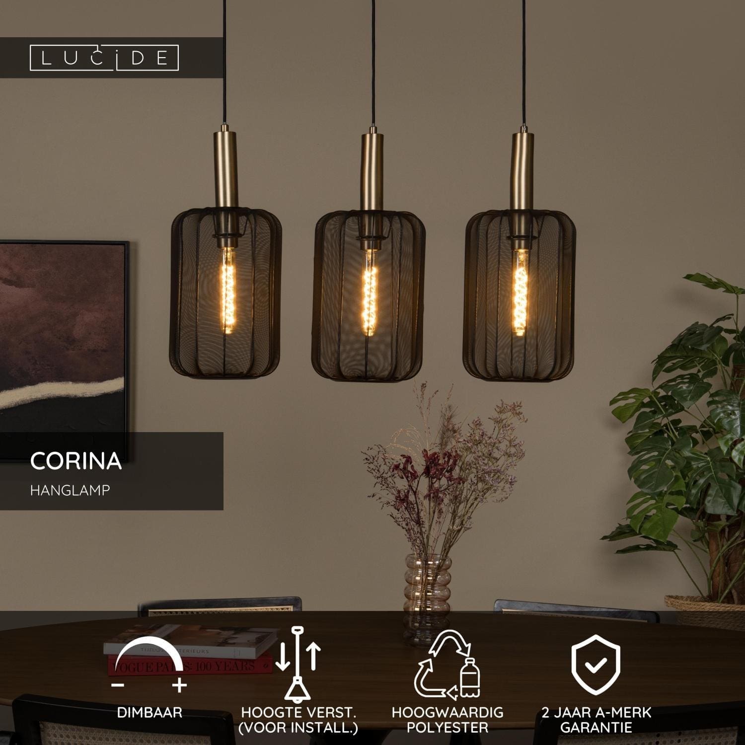 Corina Hanglamp - Zwart Lucide Hanglamp 03447/03/30