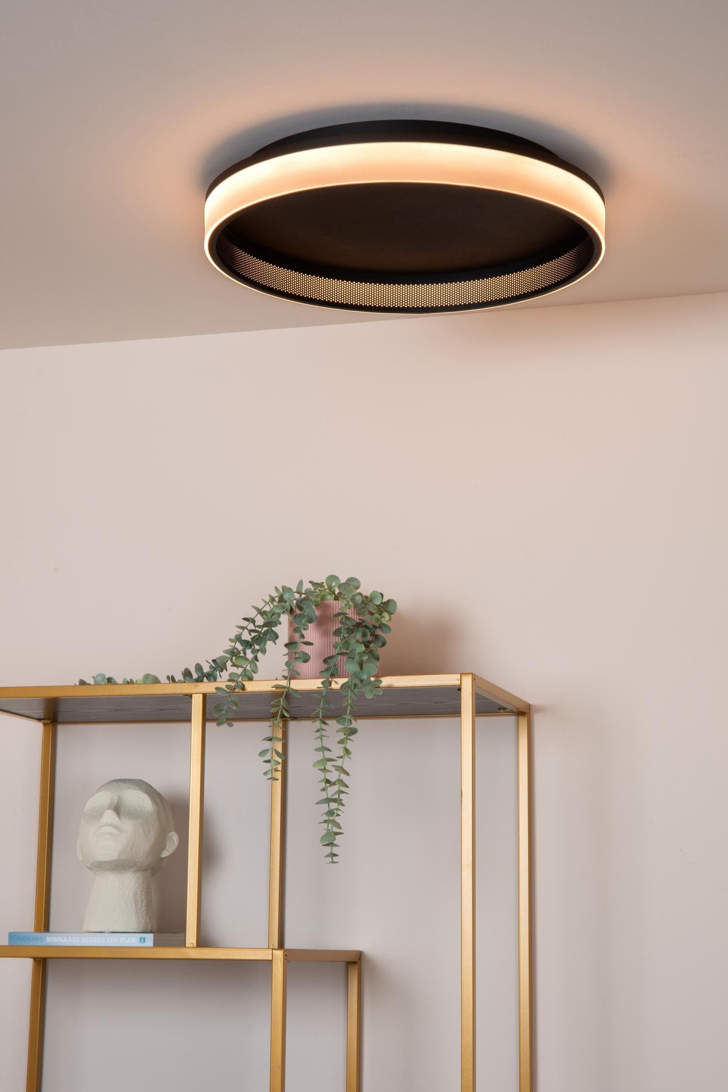 Estreja Plafonnière Ø40 cm Led 3 Stepdim Cct - Zwart Lucide Plafondlamp 71102/40/30