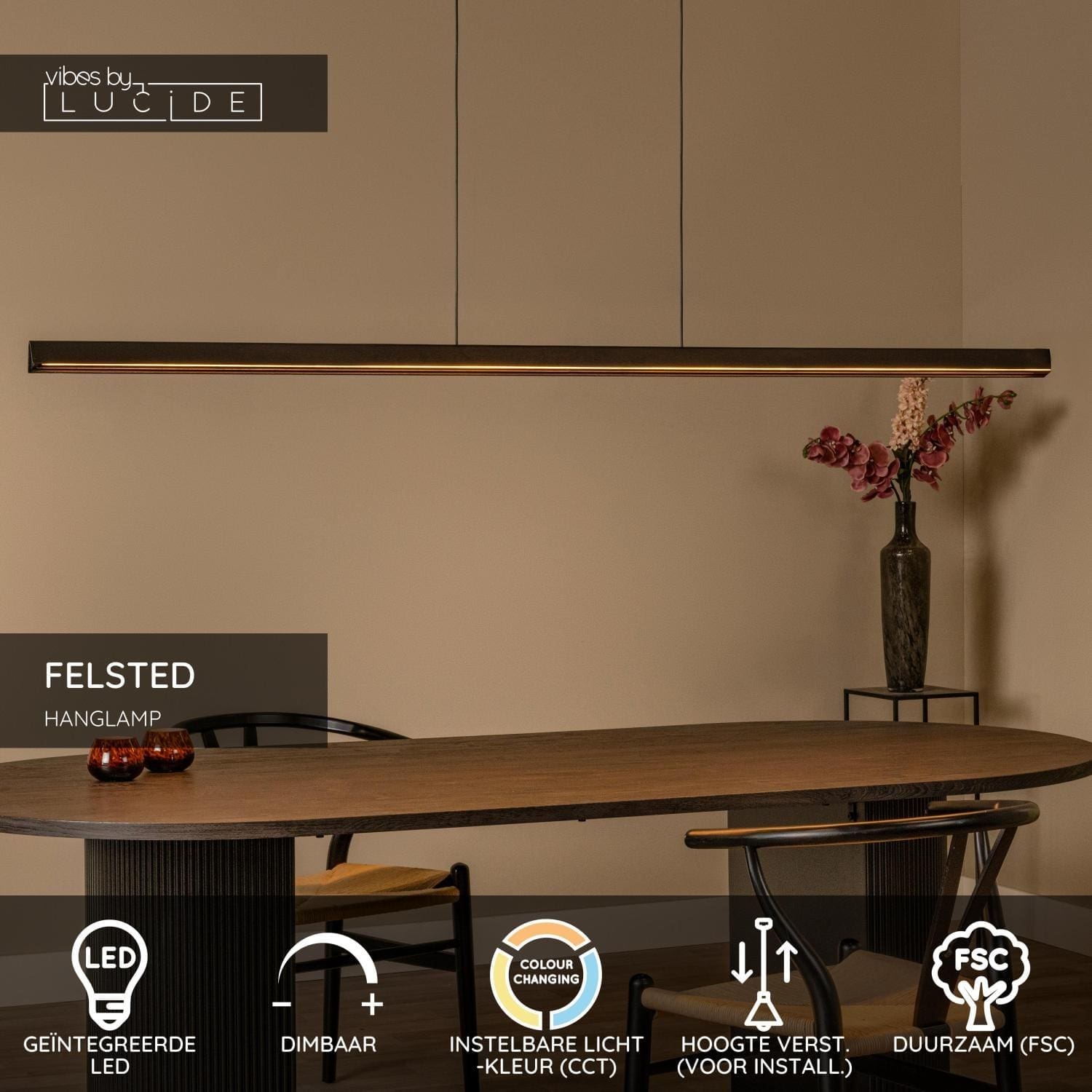 Felsted Hanglamp Led Dimb. Cct - Zwart | Vibes Lucide Hanglamp 01403/28/70