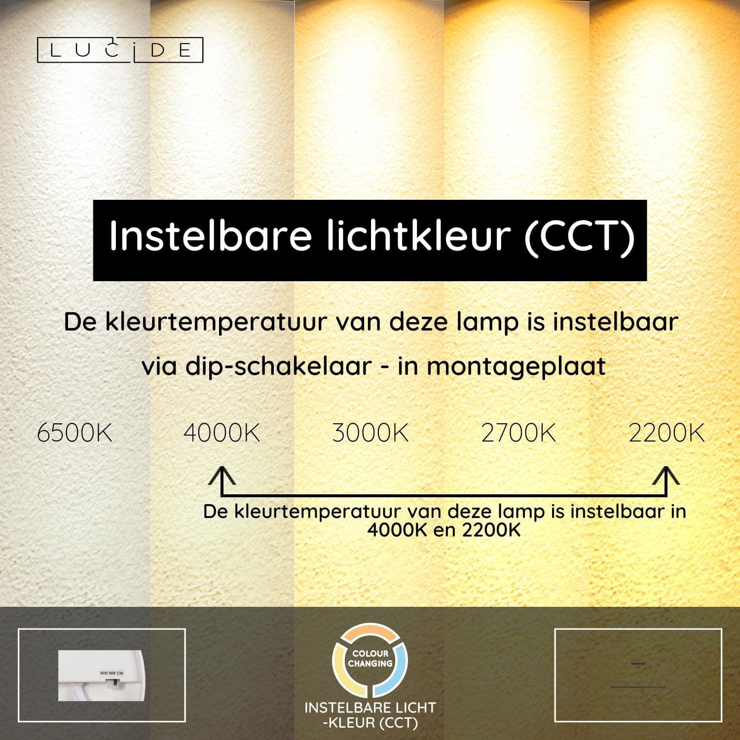 Felsted Hanglamp Led Dimb. Cct - Zwart | Vibes Lucide Hanglamp 01403/28/70