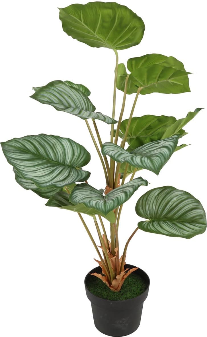 Feelings Wonen meubelen Alocasia sarawakensis kunstplant Groen