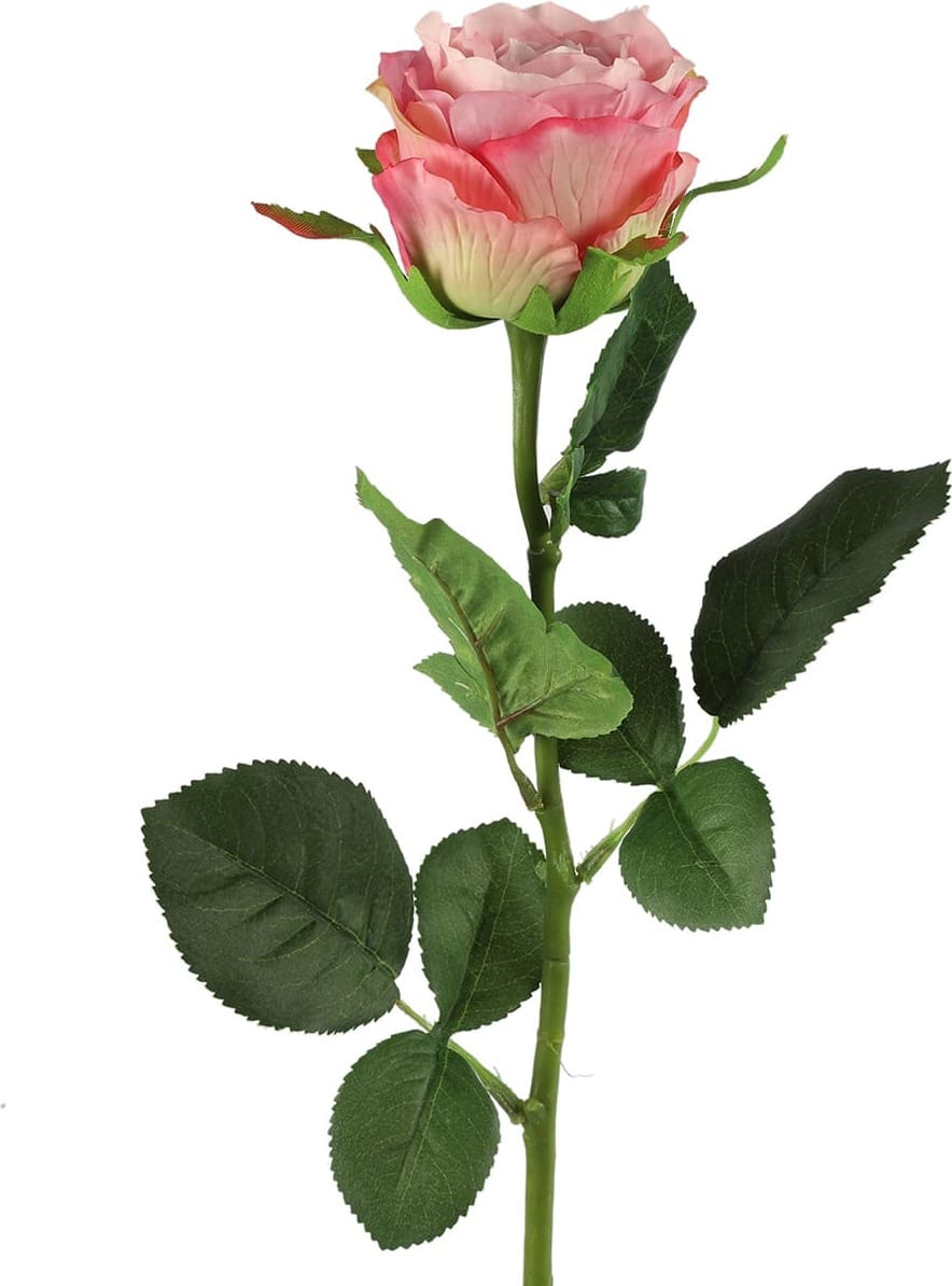 Feelings Wonen meubelen Rosa kunstbloem roze Roze Kunstbloem