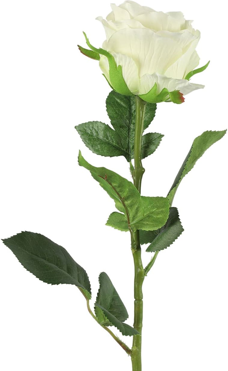 Feelings Wonen meubelen Rosa kunstbloem wit Wit Kunstbloem