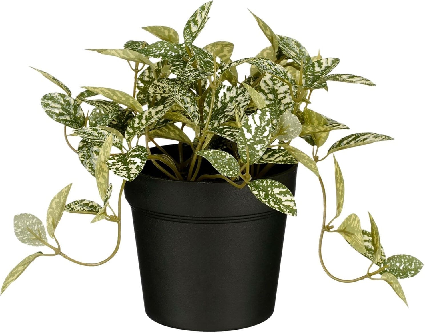 Pronto Wonen Kunstplant Curone fittonia groen Groen Woonaccessoire