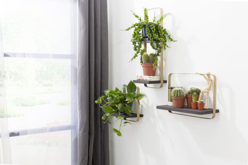 Wandplanken met planten in woonkamer