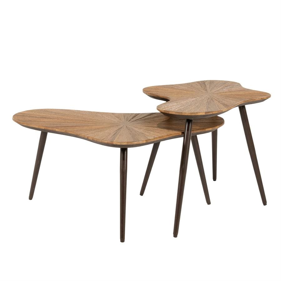 Loma ( Set Of 2) By-Boo Salontafel 260155