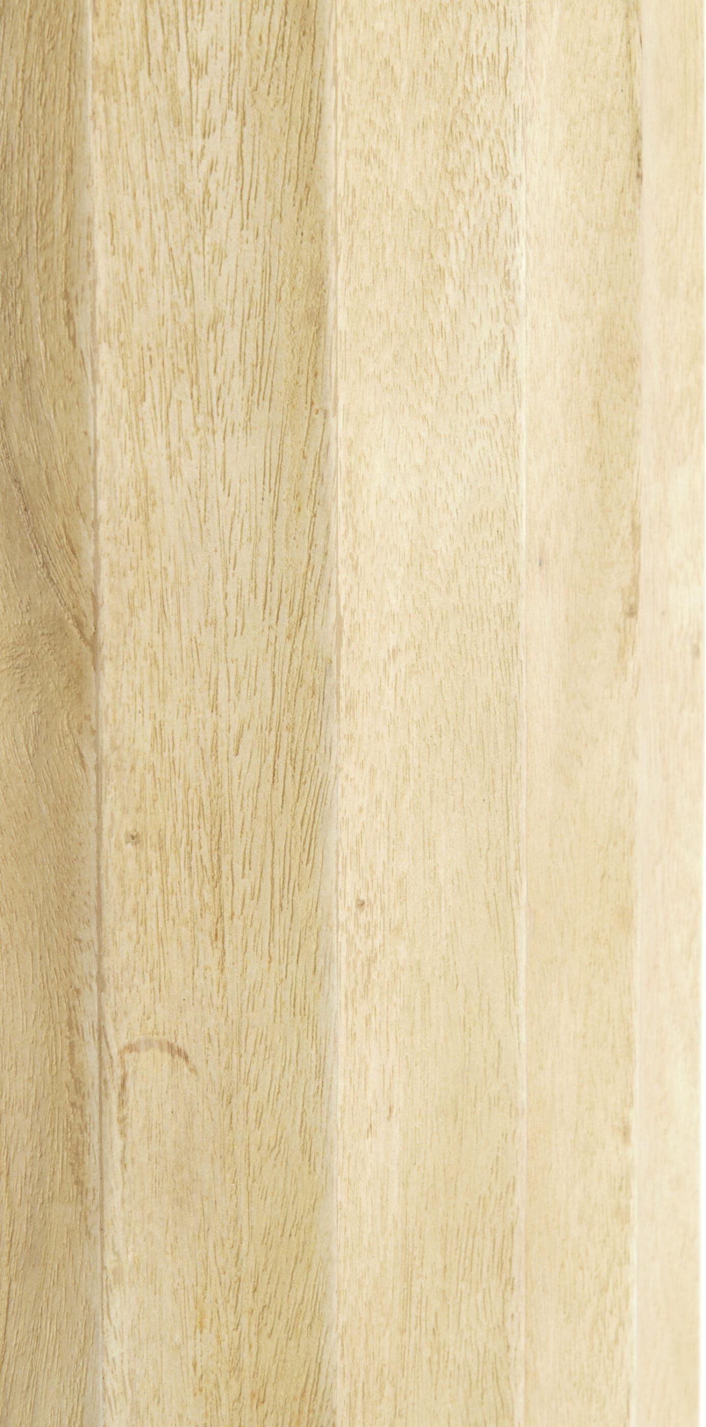 Light & Living Beeld Ellena - hout mat naturel Bruin Beeld