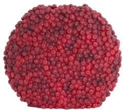 Light & Living Vaas Berries - bordeaux Rood Vaas