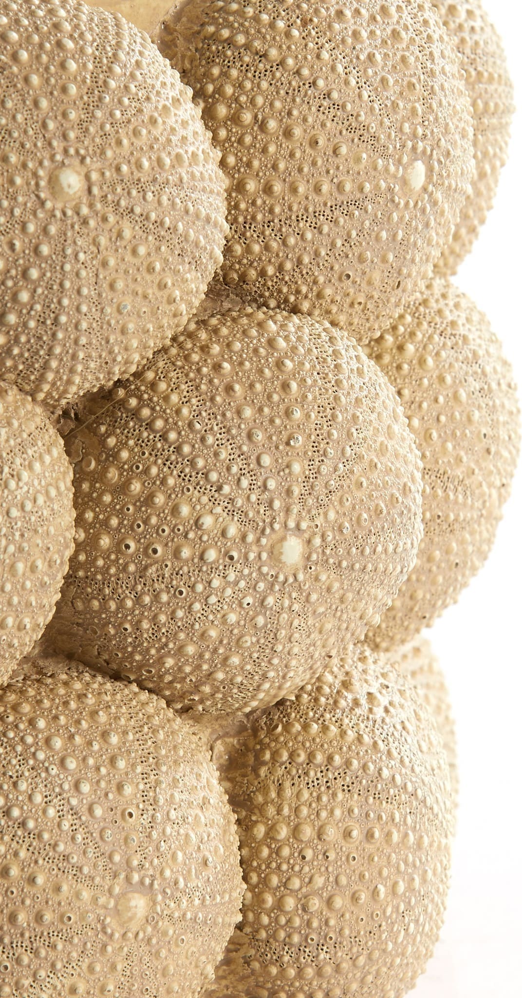 Light & Living Vaas Sea Urchin - URCHIN zand Bruin Vaas