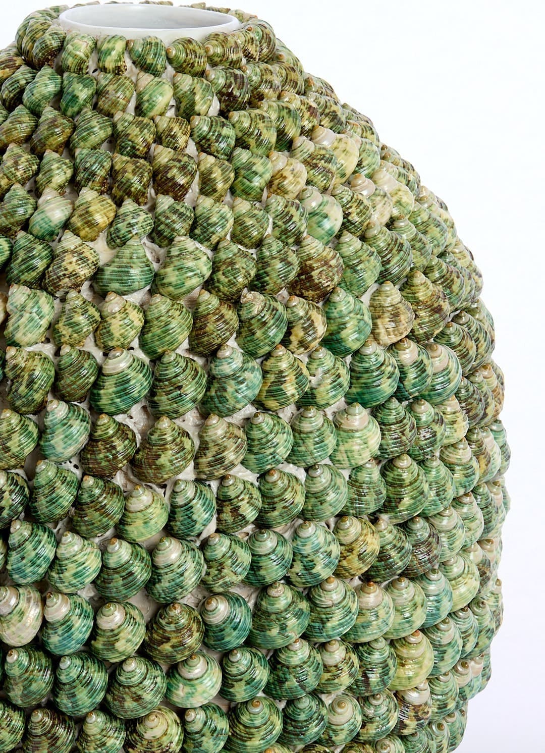 Light & Living Vaas Shell - groen Groen Vaas