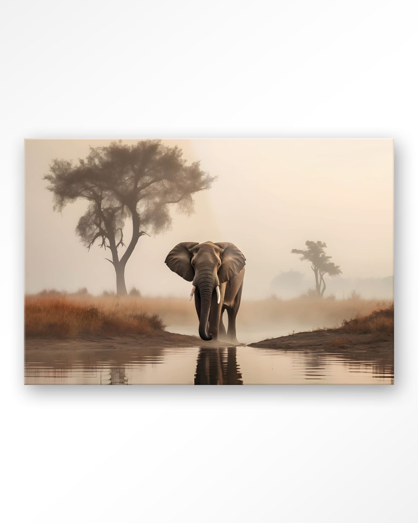 Feelings Wonen meubelen Savannah elephant wanddecoratie Wanddecoratie